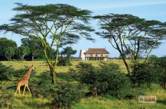 草原上的海市蜃楼肯尼亚