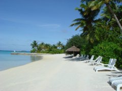  印度洋上的伊甸园―马尔代夫精彩旅游游记